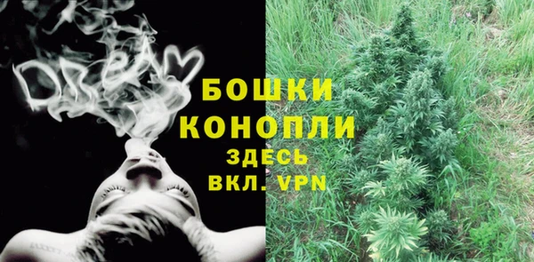 гидра Дмитров