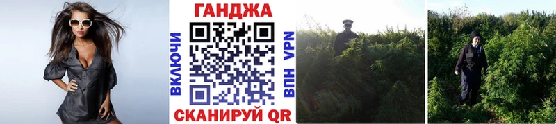 Марихуана AK-47  нарко площадка официальный сайт  Стародуб  цены наркотик  MEGA ССЫЛКА 